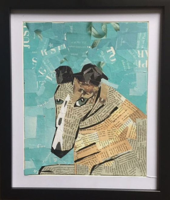 Greyhound - collage