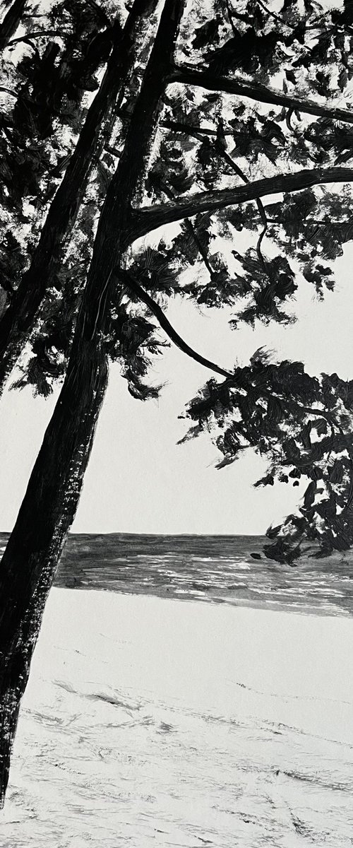 Cap Coz black by Cadiou Frederic