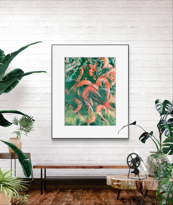 PhotoCollage Red Green Shrimp