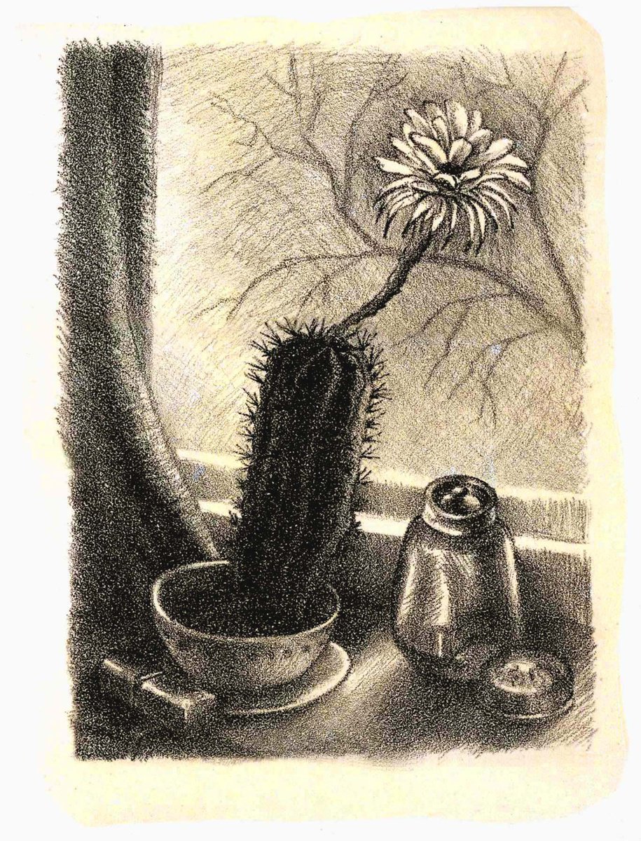 Photorealistic Botanical Limited Edition Print By Kateryna Bortsova, 16 X 23", Cactus, Original Artwork