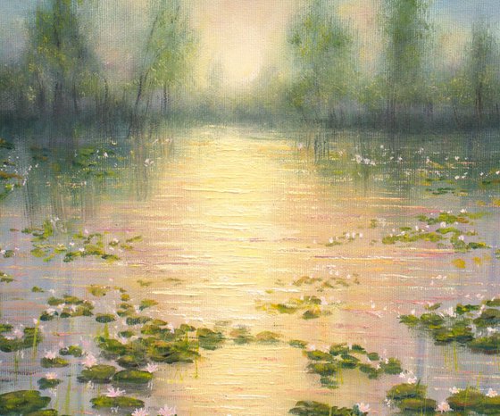 Lilies pond