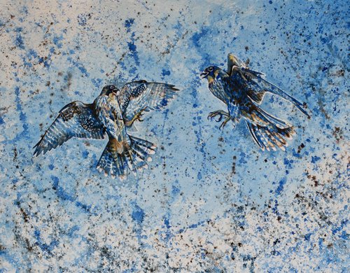 Peregrine Falcon Juveniles by Hannah  Bruce