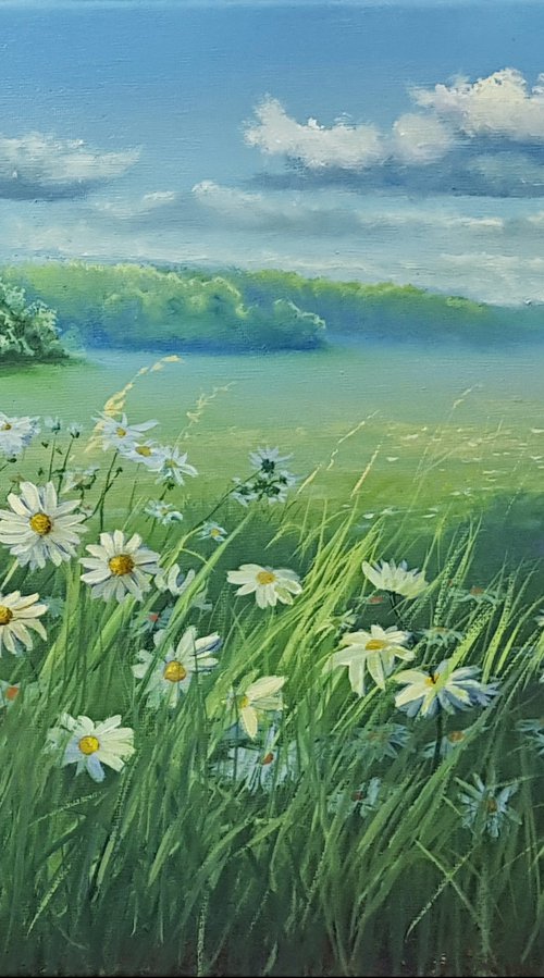 The Summer of Chamomile by Vladimir Jarmolo