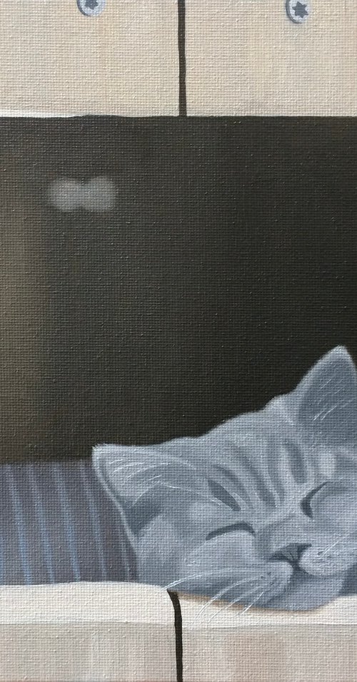 Cat In A Wooden Box by Jill Ann Harper