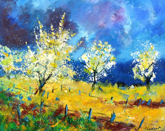Orchard in spring- 6523