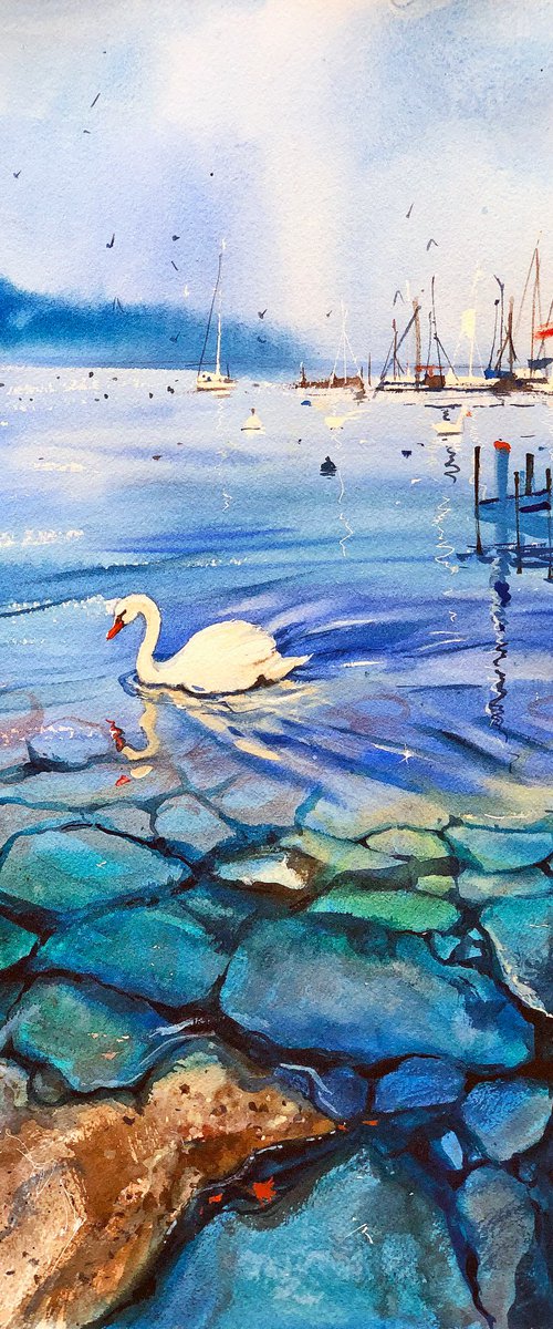 A Swan from Geneva by Ksenia Astakhova