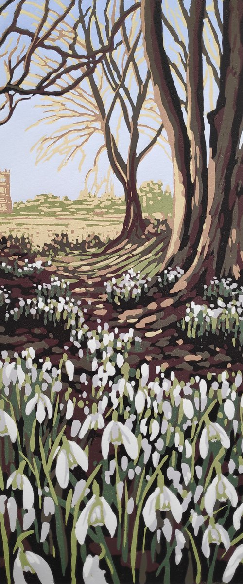 Snowdrop View by Alexandra Buckle