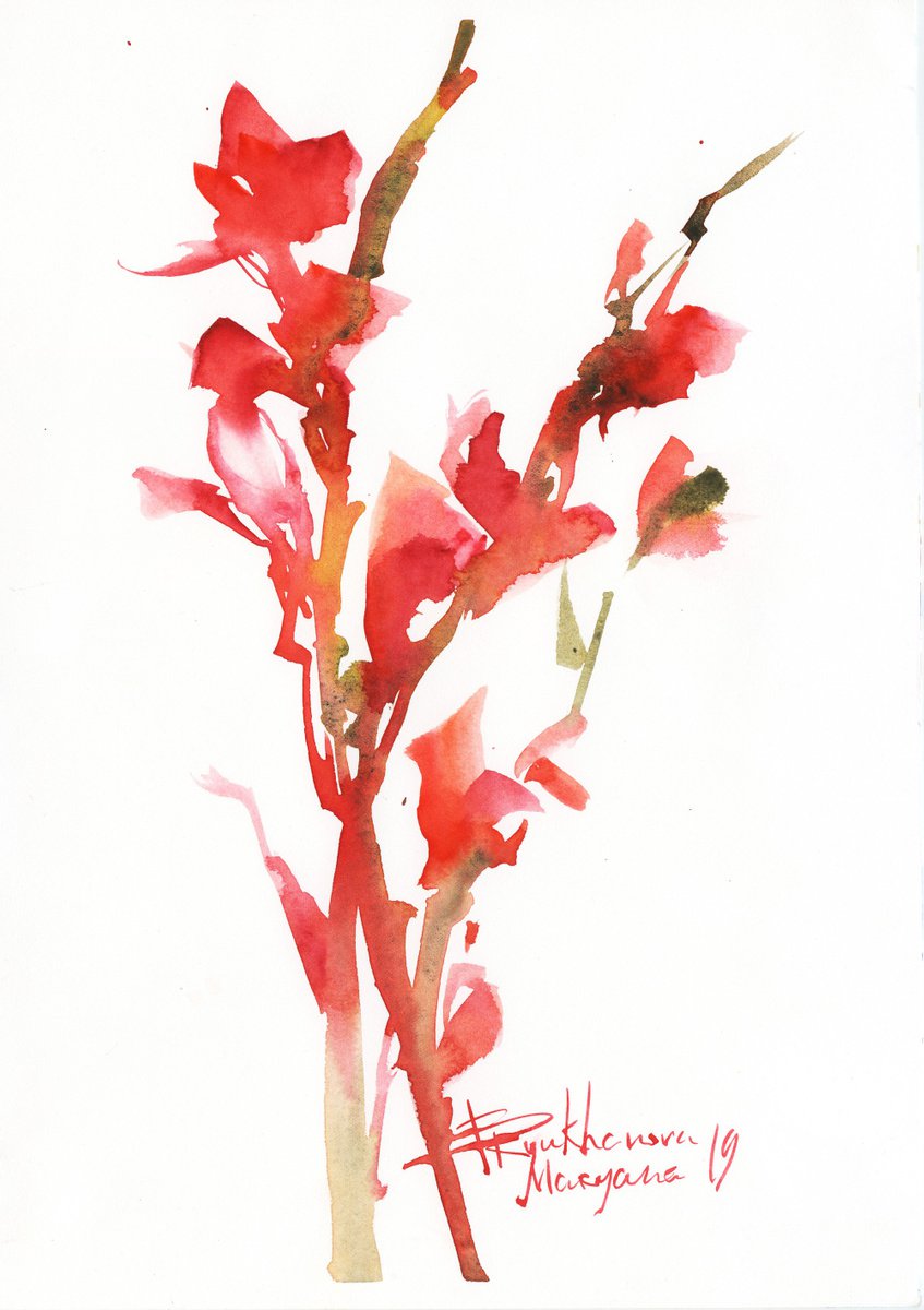 RED GLADIOLUS. RED FLOWERS. WATERCOLOR PAINTING by Mariana Briukhanova