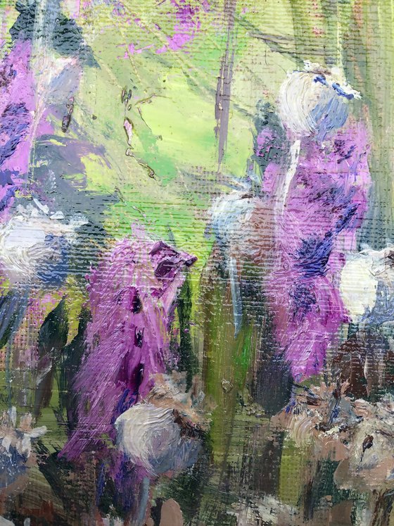 Purple Liatris