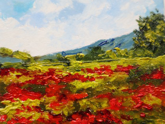 Field of Poppies