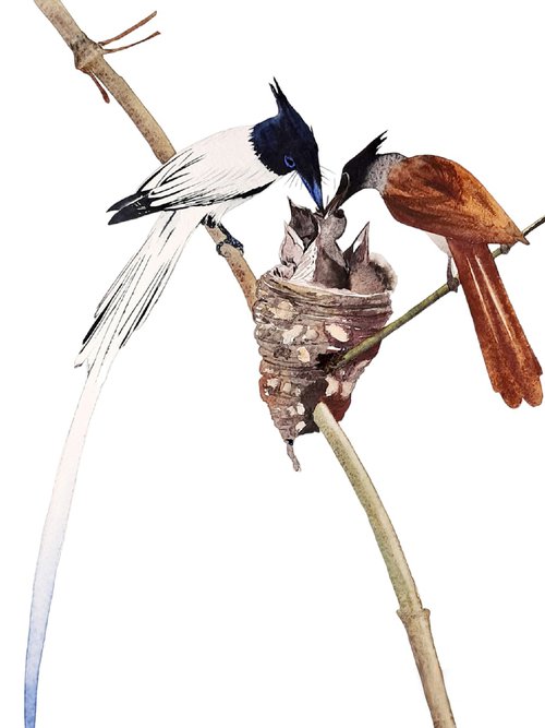 bird family in the nest by Yuliia Sharapova
