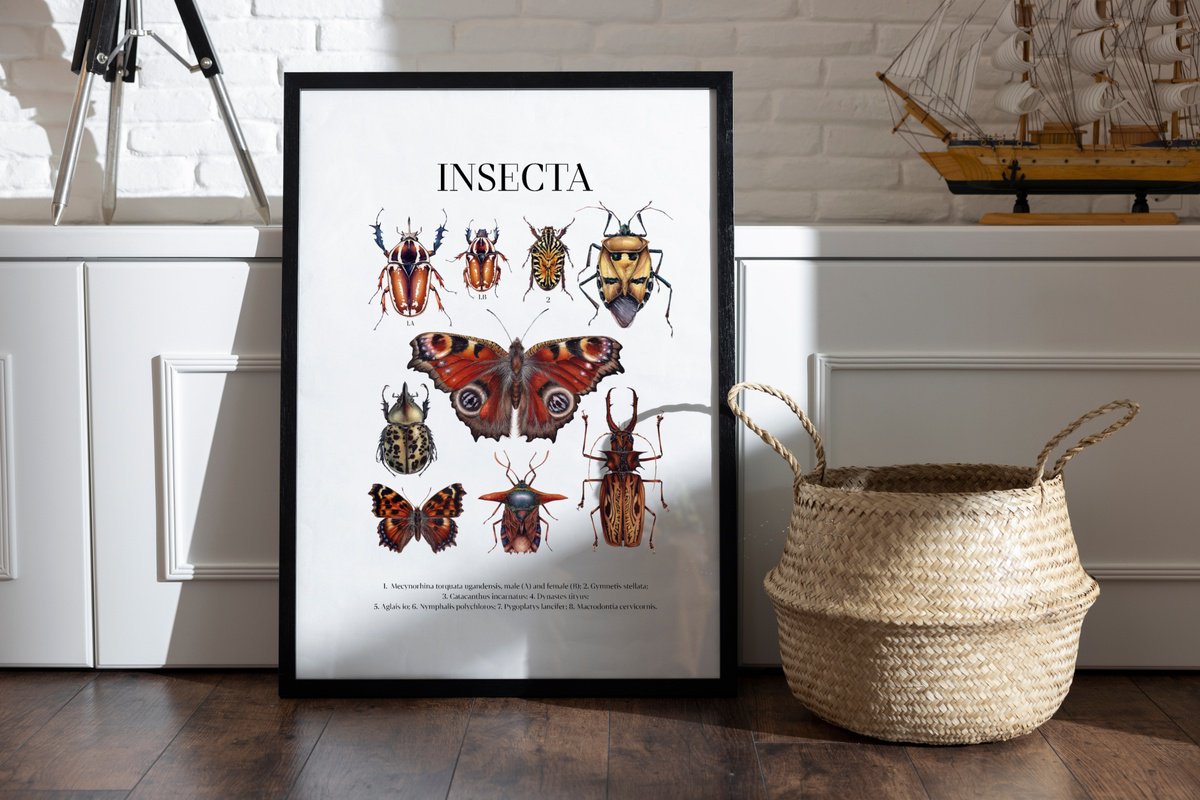INSECTA (natural history Giclee print) by Katya Shiova