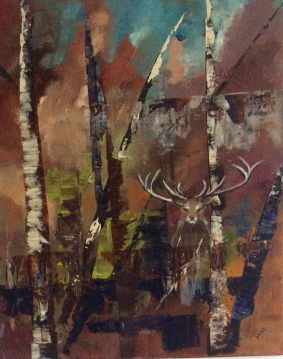 Stag in the Woods