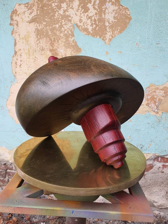 "Spinning Top"