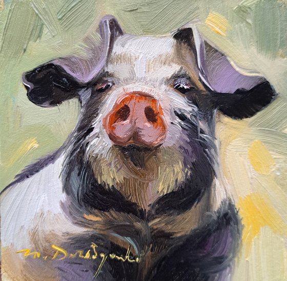 Black Pig portrait