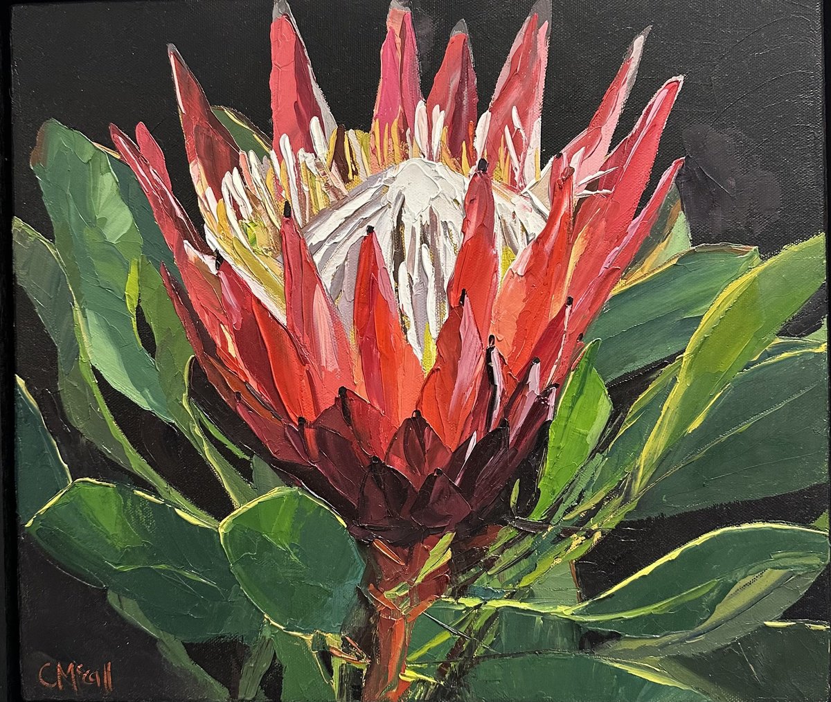 Red Protea by Claire McCall