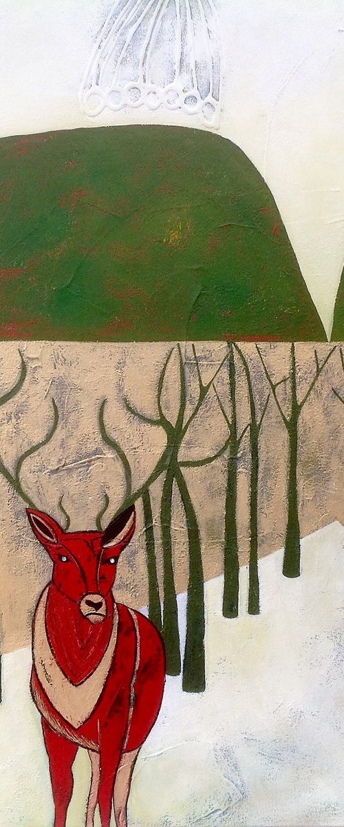 Red deer by Diana Rosa