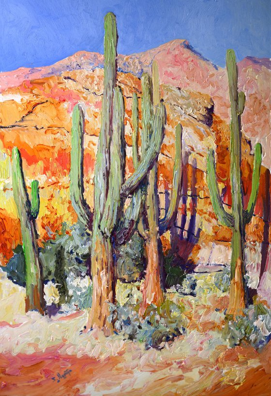 Saguaro Cactuses and Desert Rocks