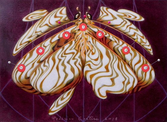 The albino butterfly
