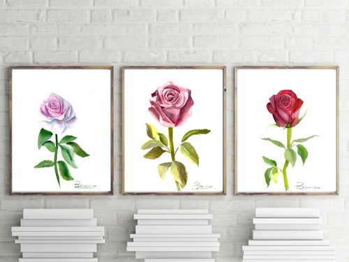 Set of 3 Roses by Olga Shefranov (Tchefranov)