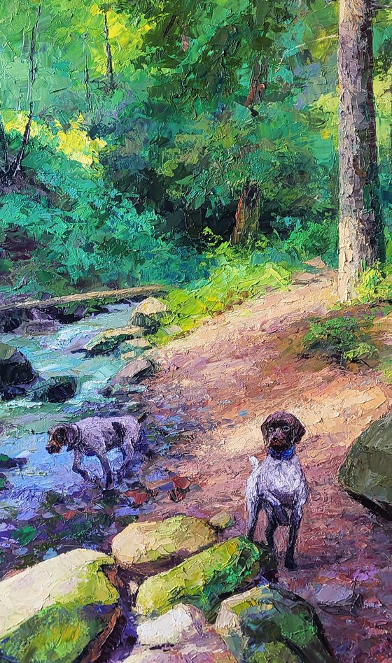 Mountain Stream in the Forest