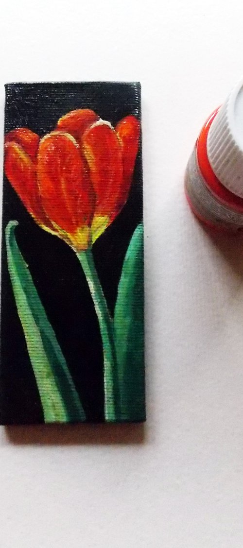 Red Tulip by Adriana Vasile