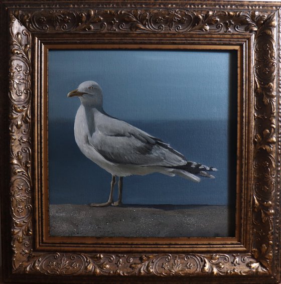 Lockdown Morning Chorus Series - By the Sea, Seagull Painting, Bird Art by Alex Jabore