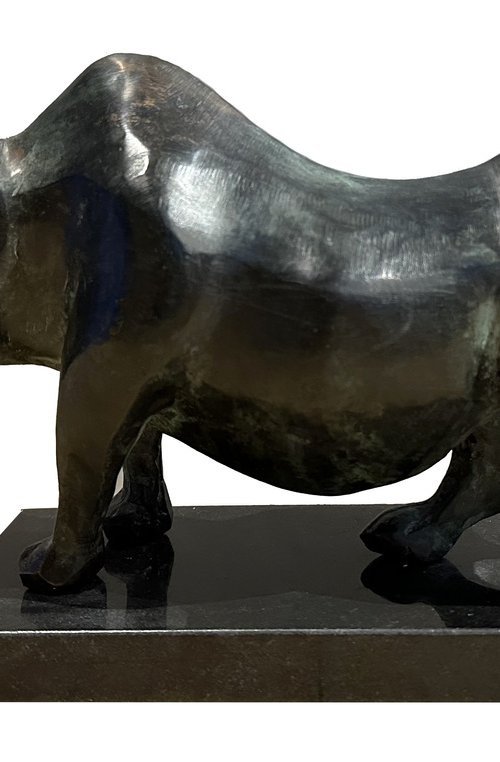 Rhinoceros - Planes of power by Toth Kristof