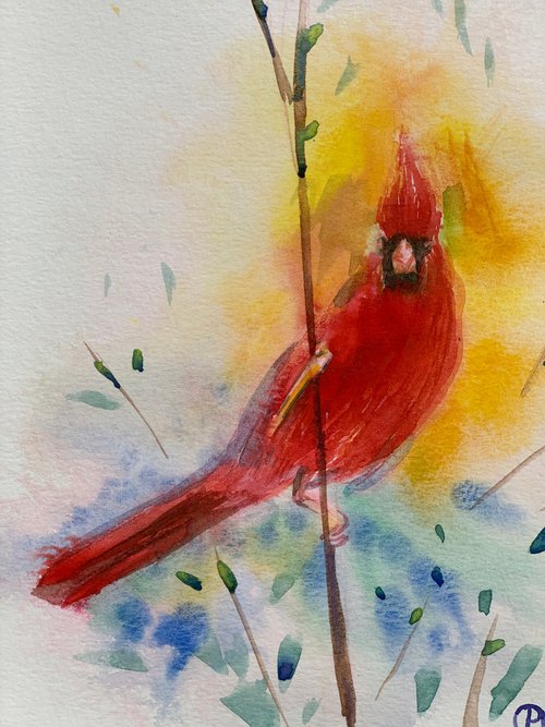 Cardinal bird by Olga Pascari