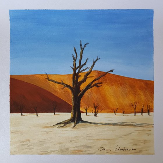 Desert Acacia