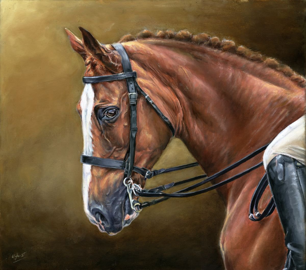 Портрет животных кони
