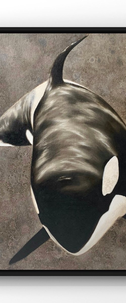 Orca by Alina Marsovna
