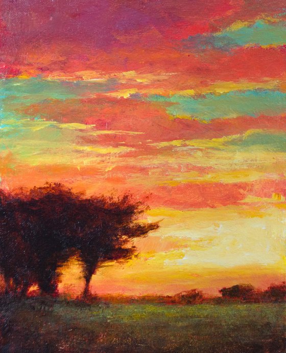 Sunset Trees Coastal Cypress landscape 8x10 inches