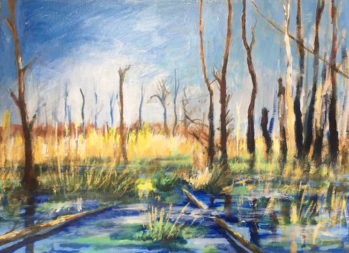 swamp landscape by René Goorman
