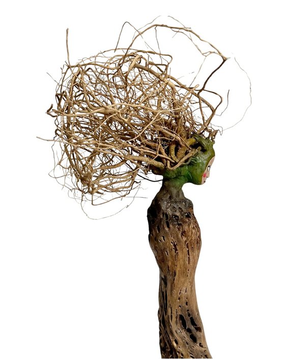 DRYAD