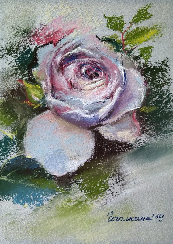 Rose portrait in pastel