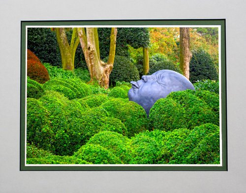 Sculpture and Topiary by Robin Clarke