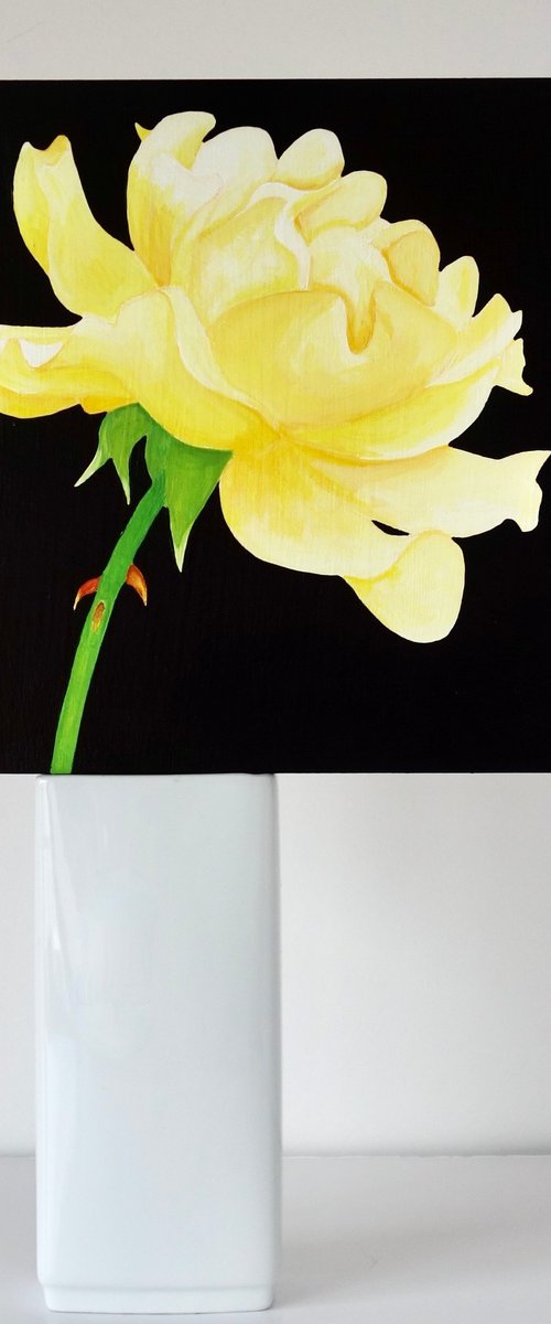 Yellow Rose by Susan Porter