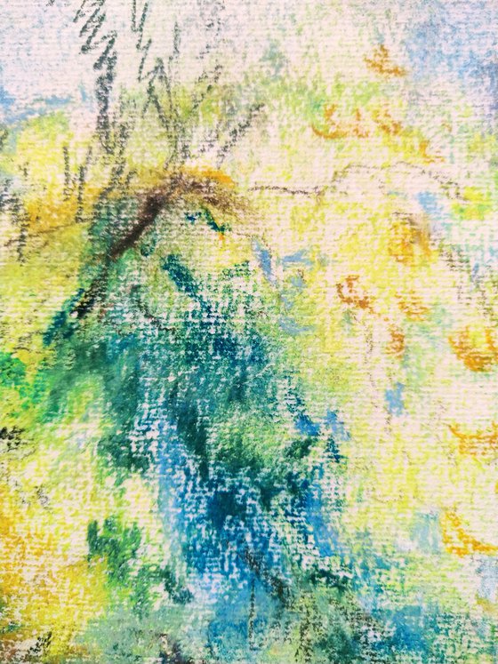 Mimosa. Original pastel drawing.