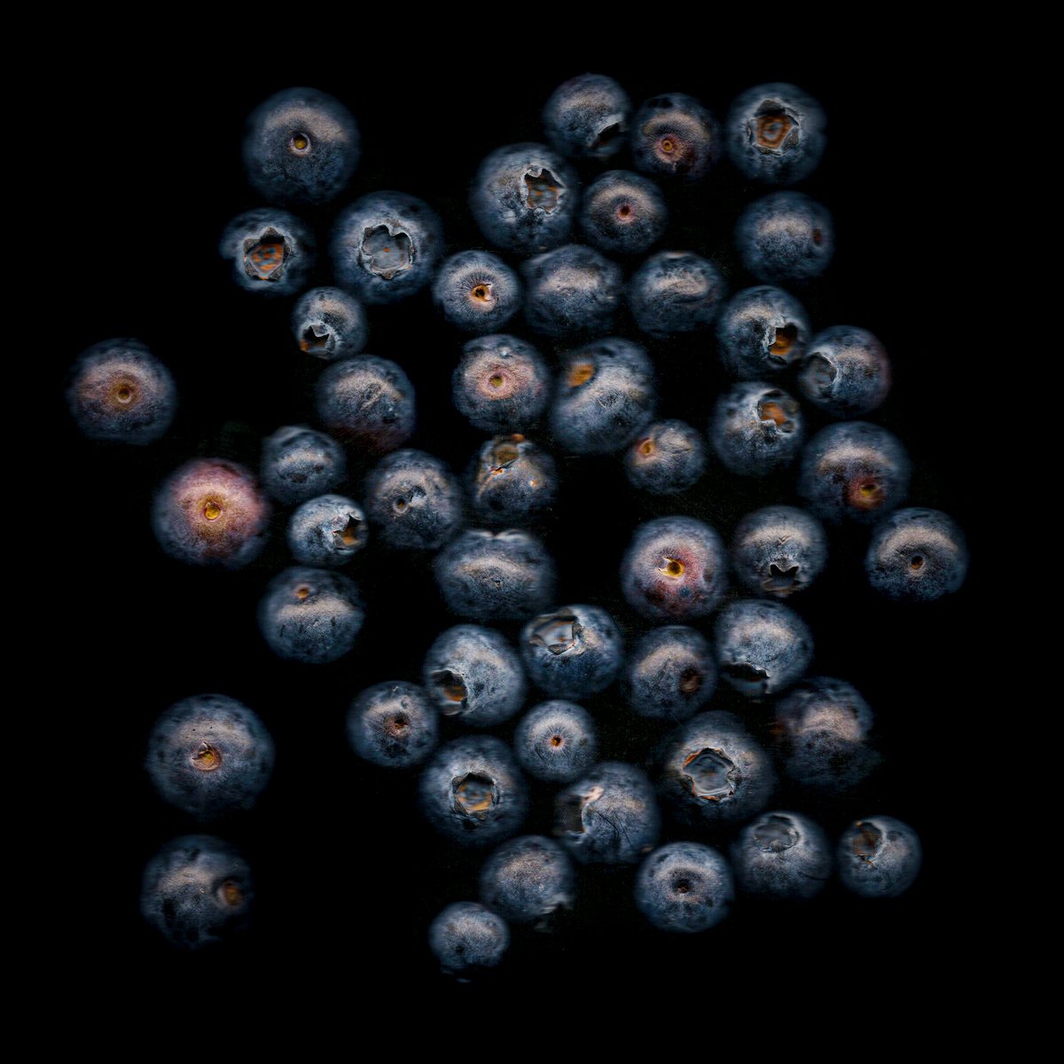 Blueberries by Paul Nash