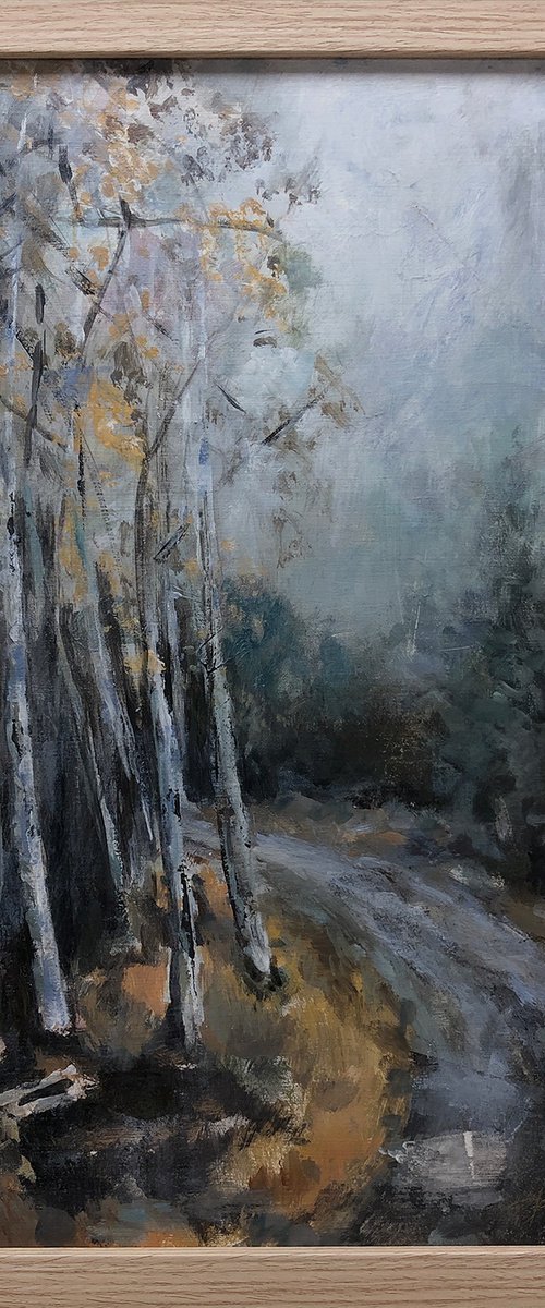 Misty road with birch trees by Jacqualine Zonneveld