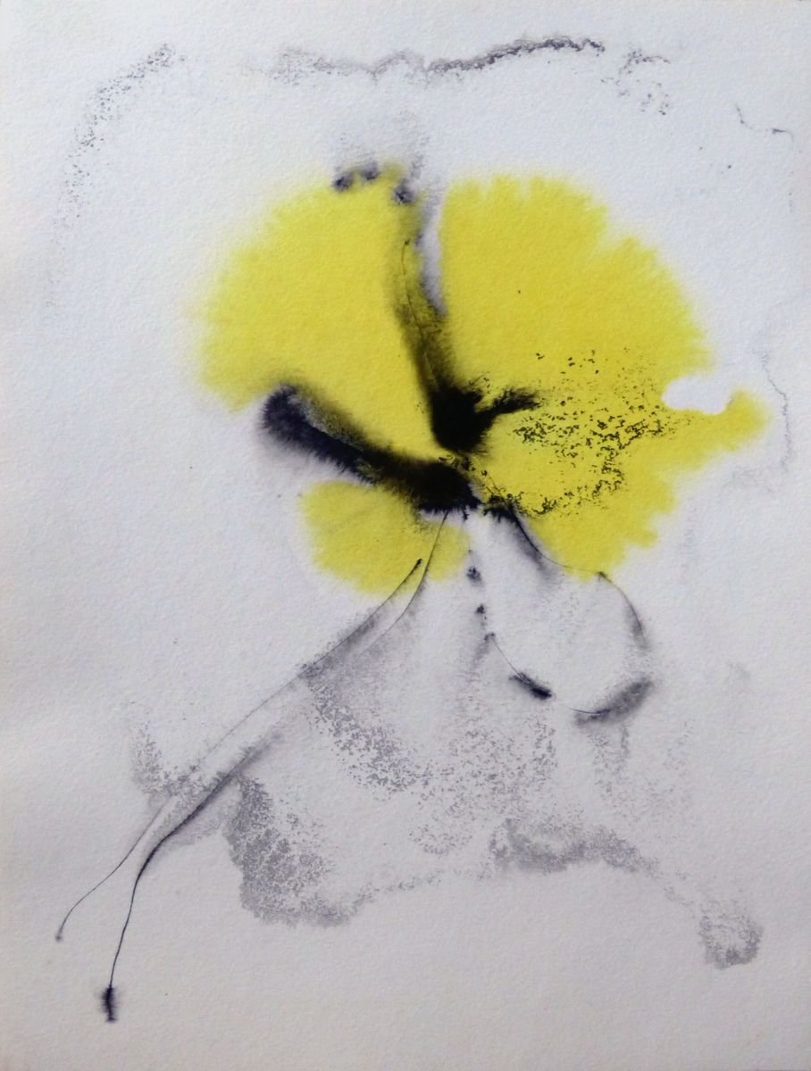 Abstract yellow flower, 29x39 cm by Frederic Belaubre