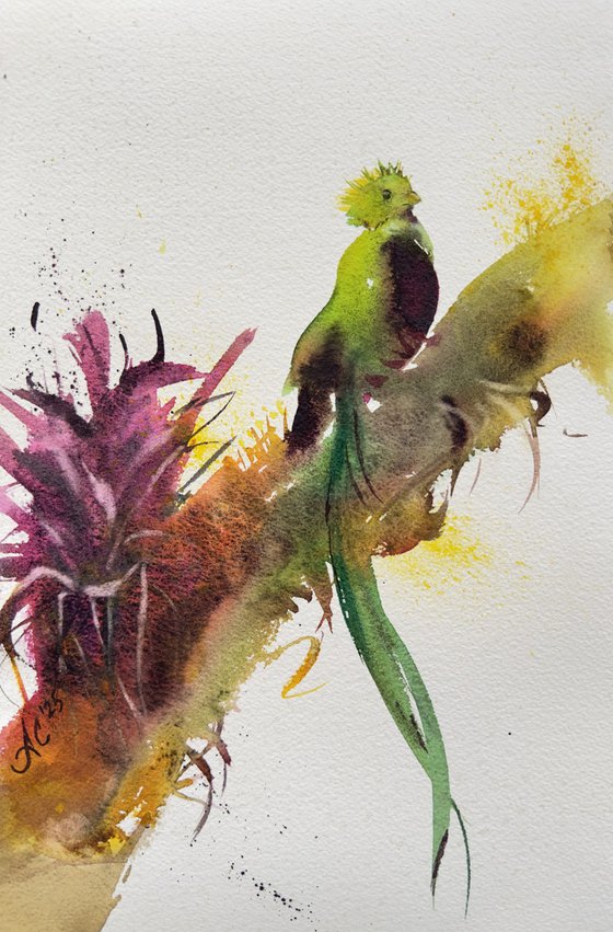 Aqua: Sacred Bird and Green Bird