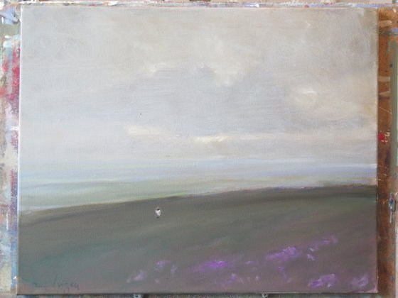 Dull, Misty Day in the Yorkshire Moors