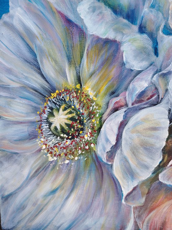Stylish Poppies. Original