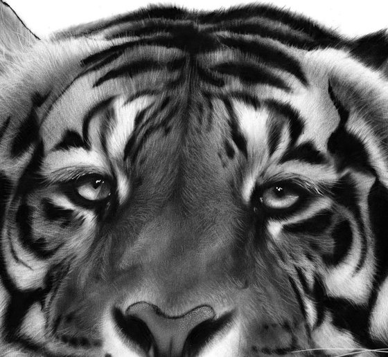 Tiger Painting