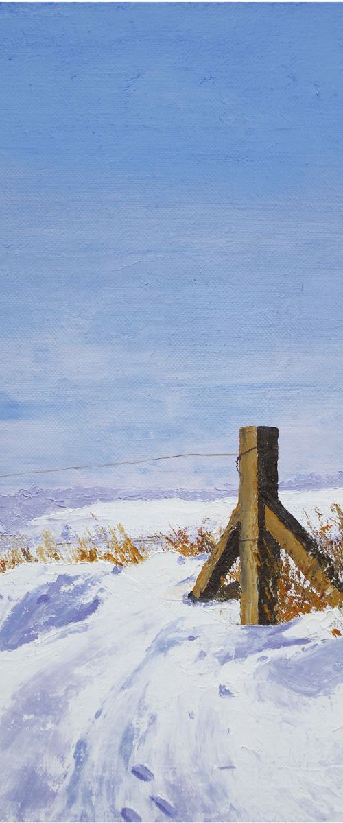 PRINTS IN THE SNOW by Richard Manning