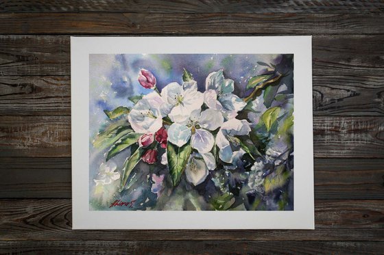 Original watercolor hand painting Apple blossom floral fine art, flowers wall art, wall decor, spring flowering branch, artwork