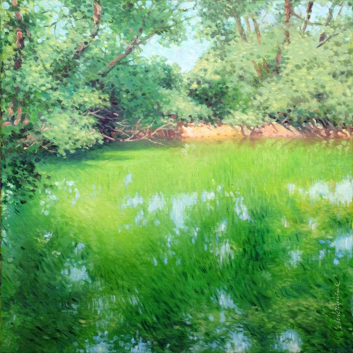 Impressionistic Landscape Oil Painting By Richard Mierniczak, 24 X 24", Summer On The Rhine 1., Original Artwork