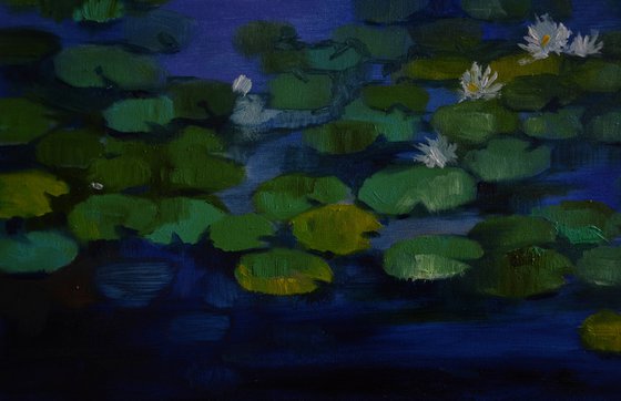 Lily pond. Sleeping